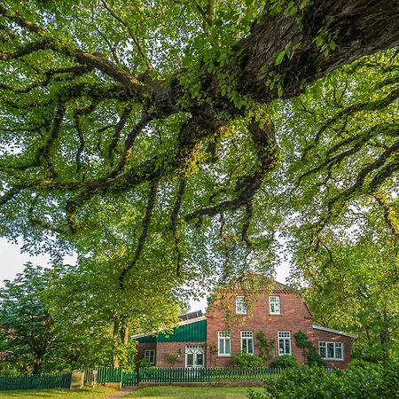 Huus Unner Lee 3 Διαμέρισμα *